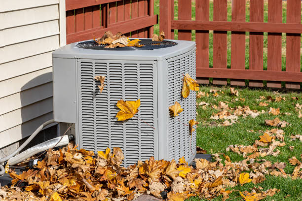 Best HVAC tune-up services  in Wacousta, MI