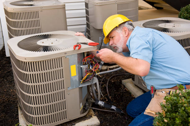 Best HVAC installation services  in Wacousta, MI